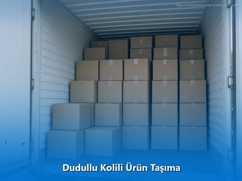 Dudullu Kolili Ürün Taşıma