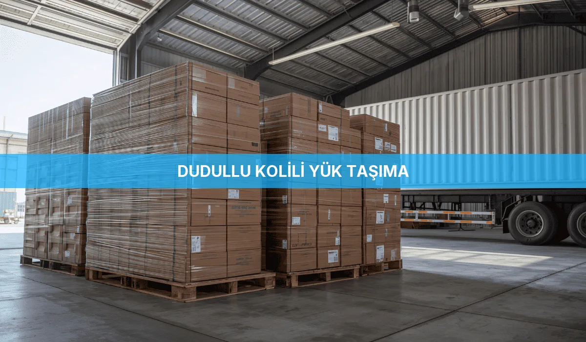 Dudullu Kolili Yük Taşıma